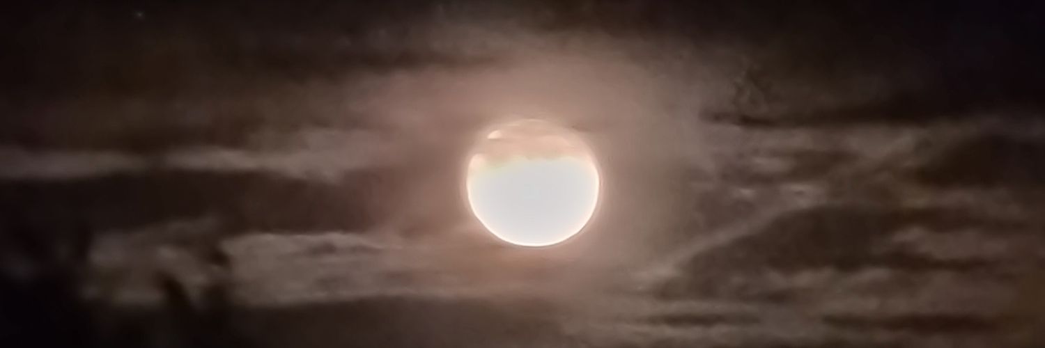 SuziHawthorn's profile banner image