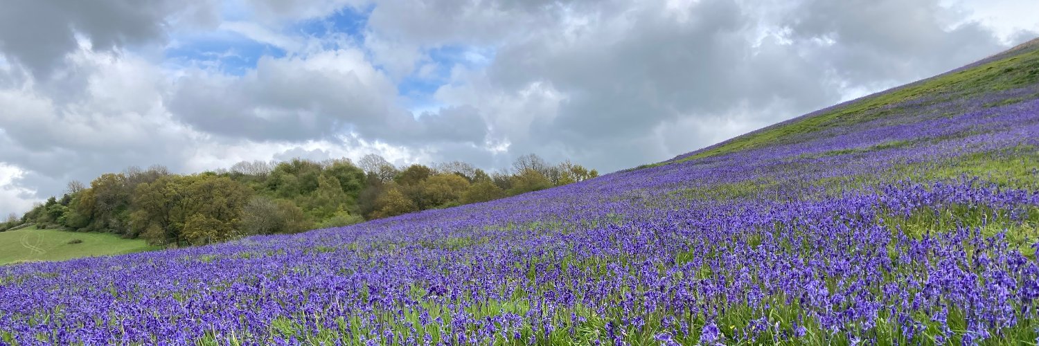 eryres 🌷🌸🪻🌱🪺 banner