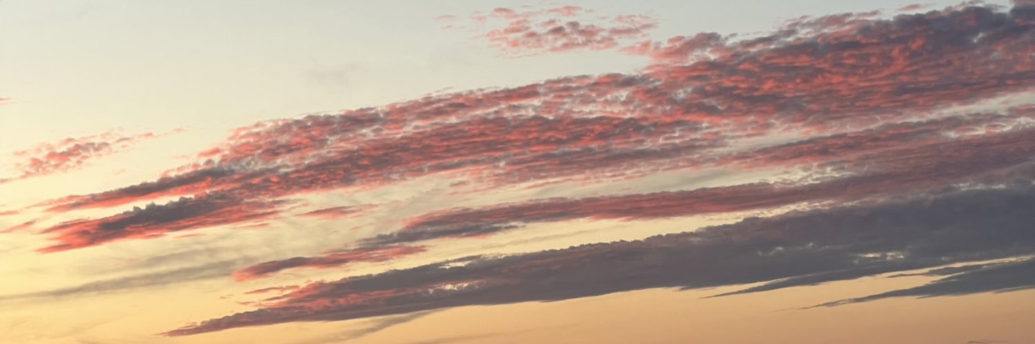 alicev27's profile banner image