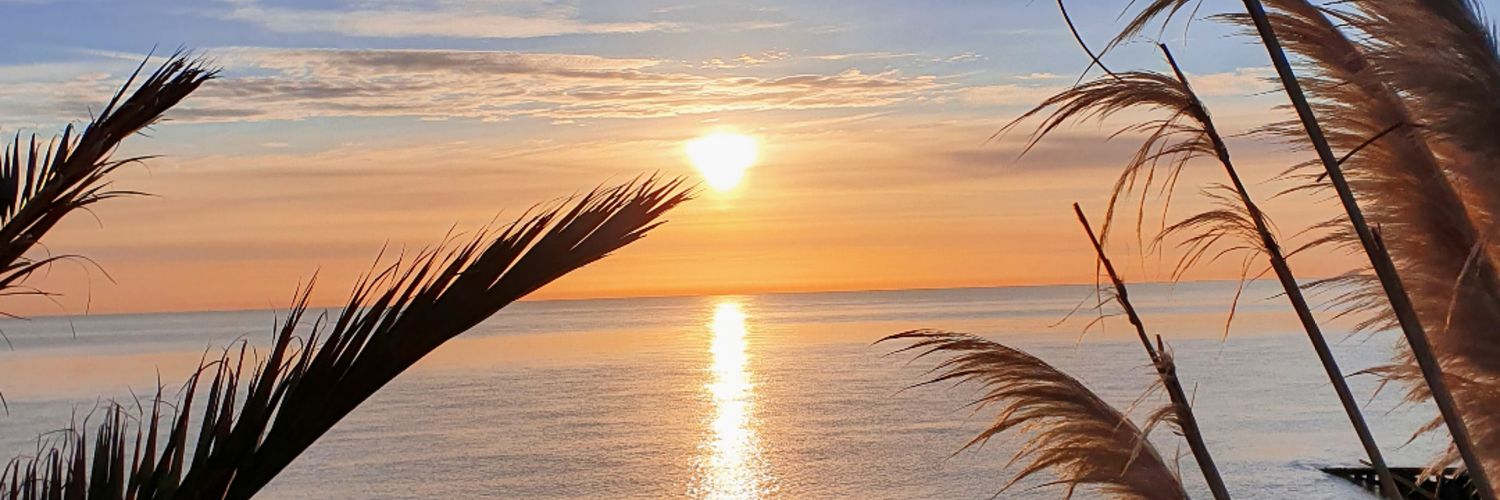 Stacearoo's profile banner image