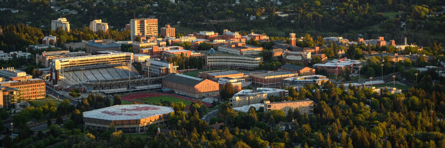 WSU Pullman's banner