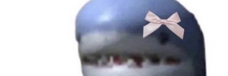 geevvz's profile banner image