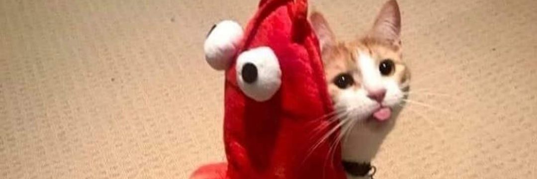 UwU_Chante's profile banner image