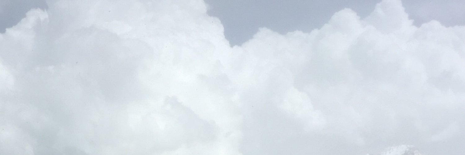 YasmineNorm's profile banner image