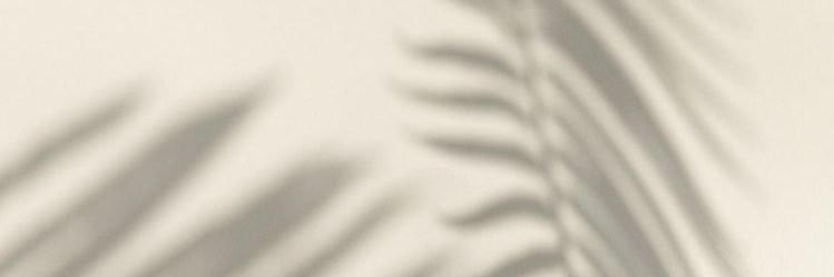 behsilvoli's profile banner image