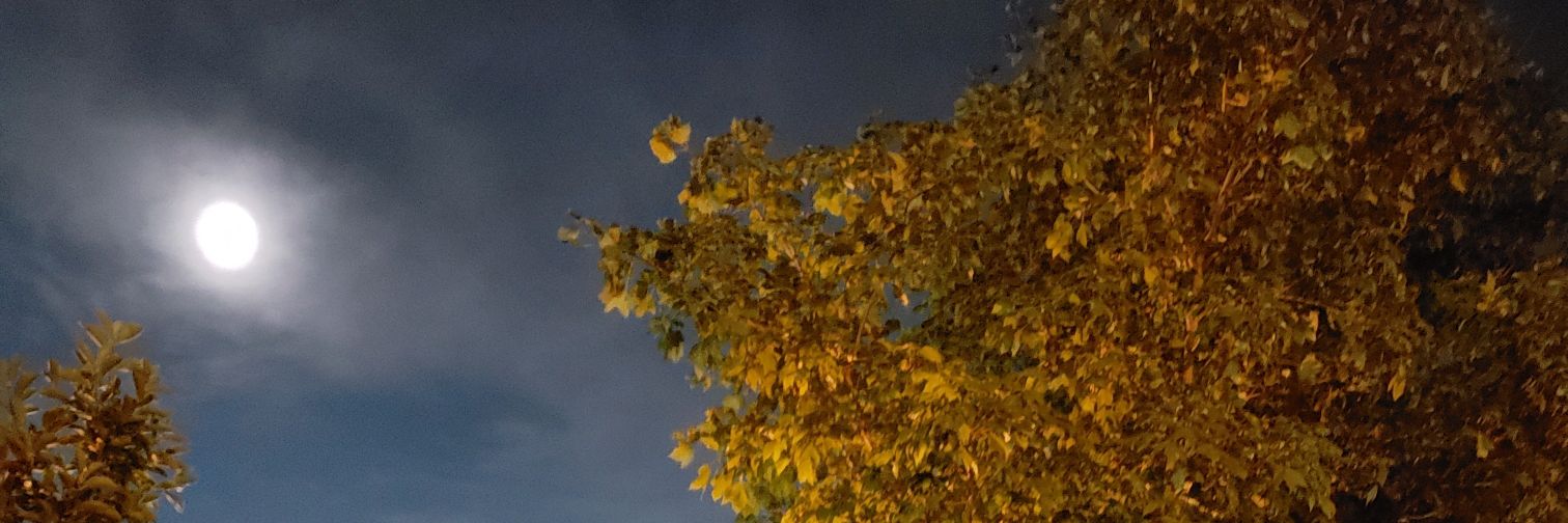 jessitho88's profile banner image