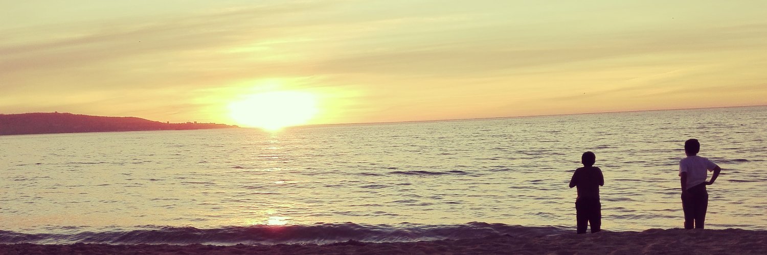 nealingue's profile banner image