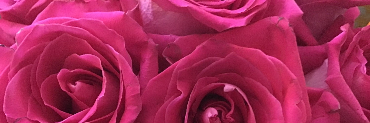 loloeakes's profile banner image