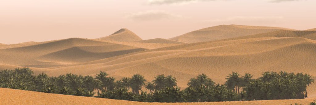 AliHFSJ's profile banner image