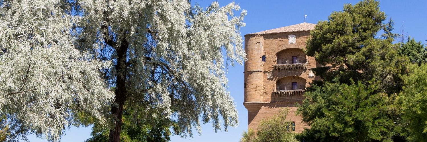 desbenavente's profile banner image