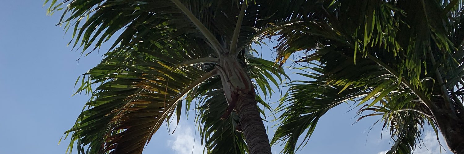 thatssosheri's profile banner image