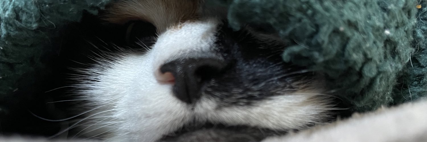 SamSamuelb13's profile banner image