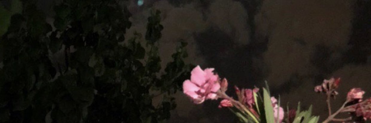 narjs__'s profile banner image