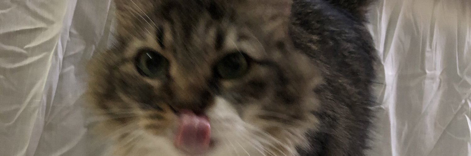 peyton_mariee_'s profile banner image