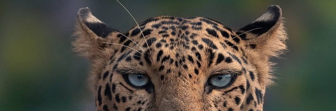 fredou__4's profile banner image