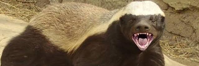 Pompeu🇧🇷🇮🇱🇺🇸🥛🚓👮‍♀️✝️🕎 banner