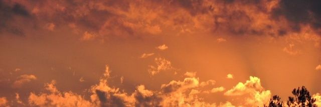 rousbc's profile banner image