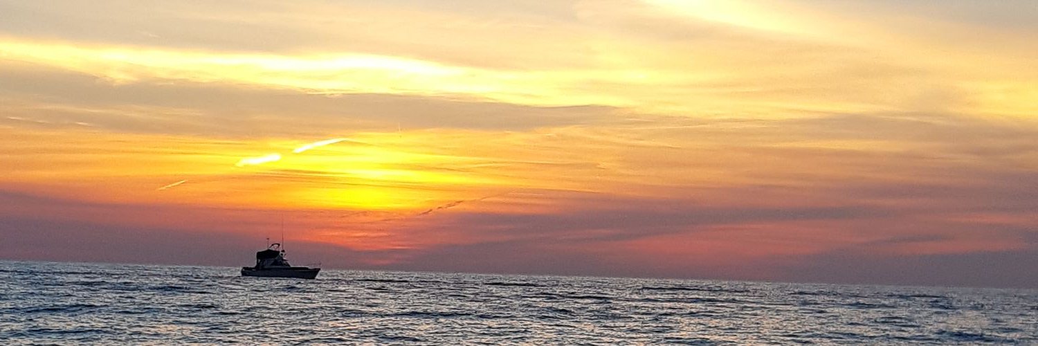 LittleBluAlien6's profile banner image