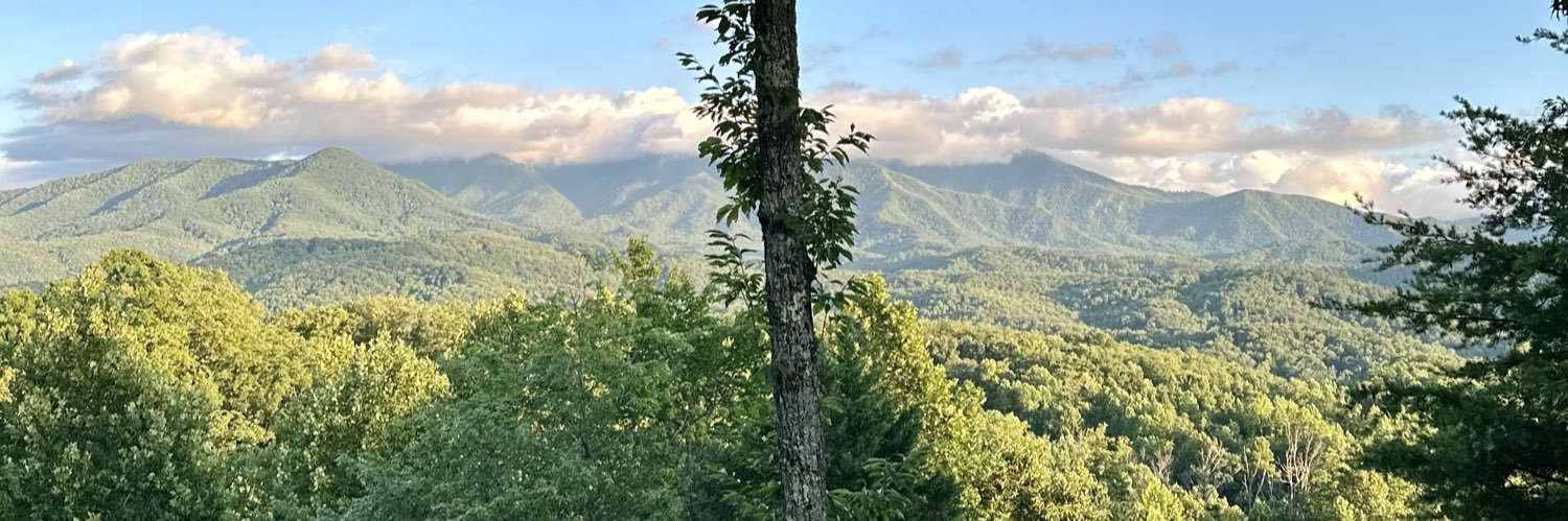 bryceweicht's profile banner image