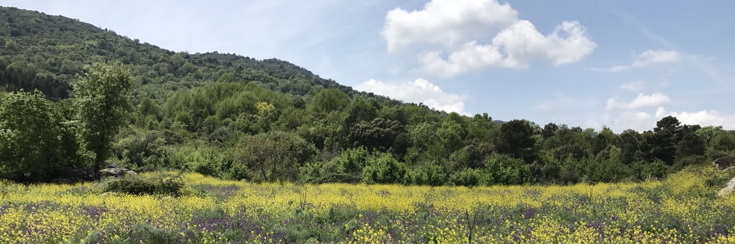yhondeere's profile banner image