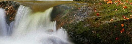 Altmymy8's profile banner image