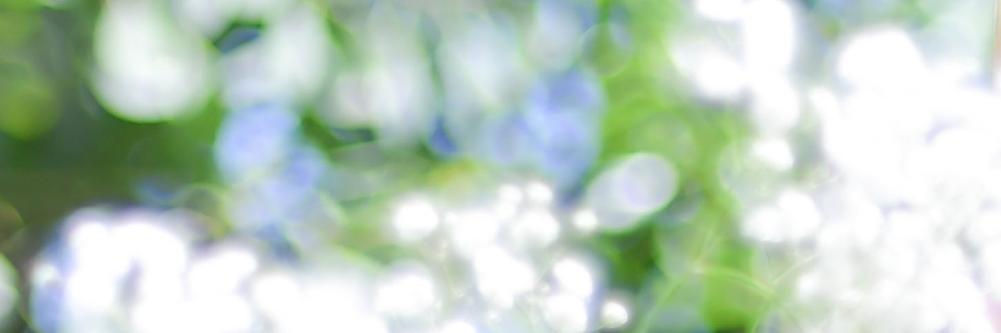 栞 奈 - kana - banner