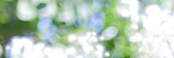 tsmd_37 Profile Banner