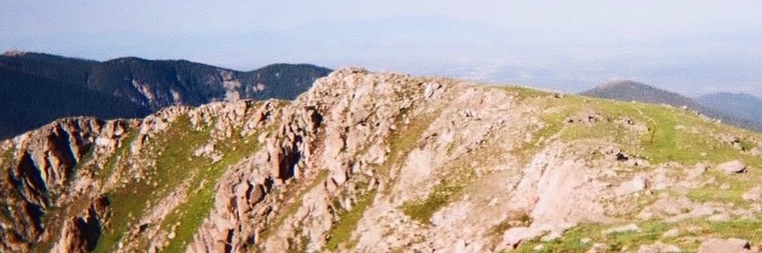 Will Zhu banner
