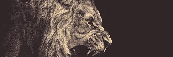 ThomasVo_'s profile banner image