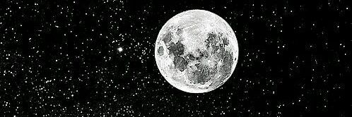 Manuela9621's profile banner image