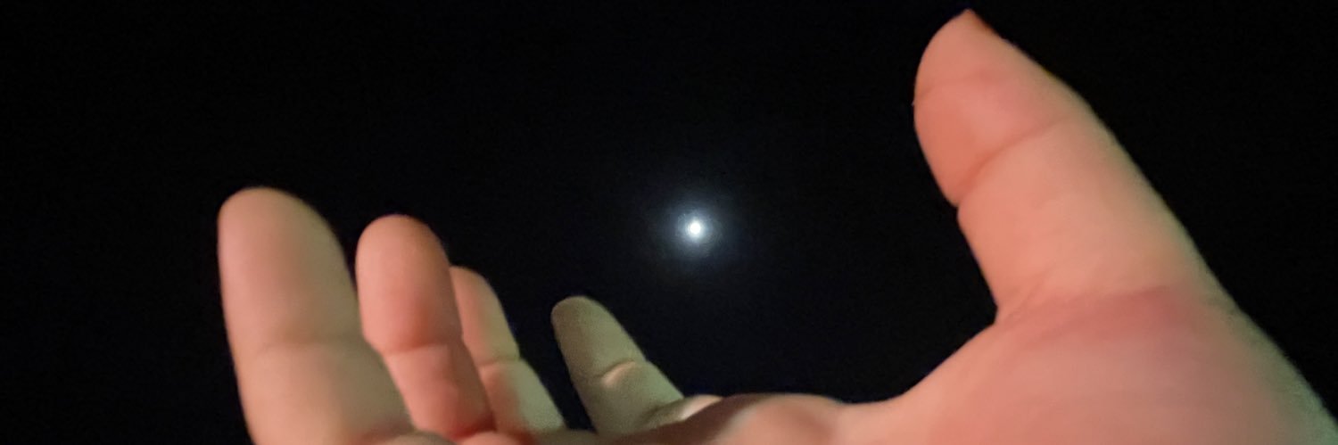 sblzdmr's profile banner image