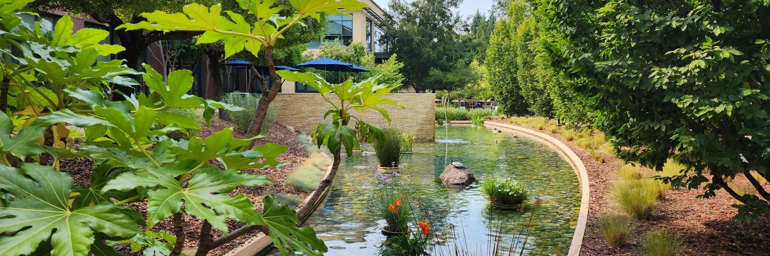 🐢 VMware Turtles 🌩 banner