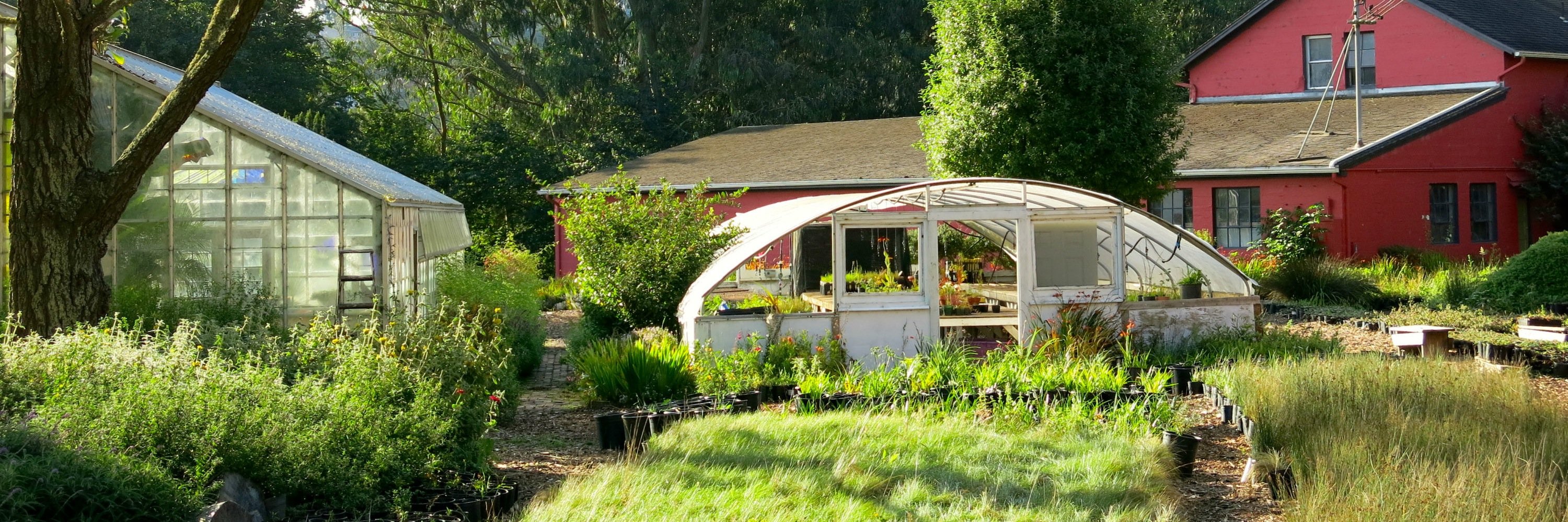 SFGardenProject's profile banner image