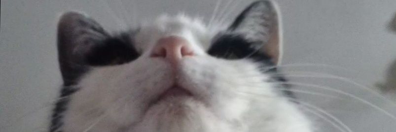 vtictac's profile banner image
