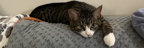 w_finck Profile Banner