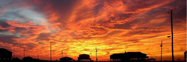 Dauphin Island Profile Banner