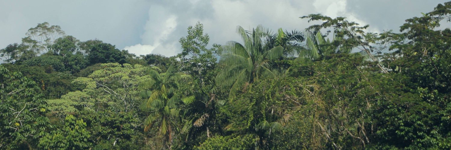 molins_isa's profile banner image