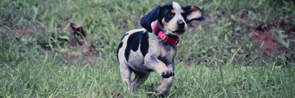 CuteOverloads_ Profile Banner