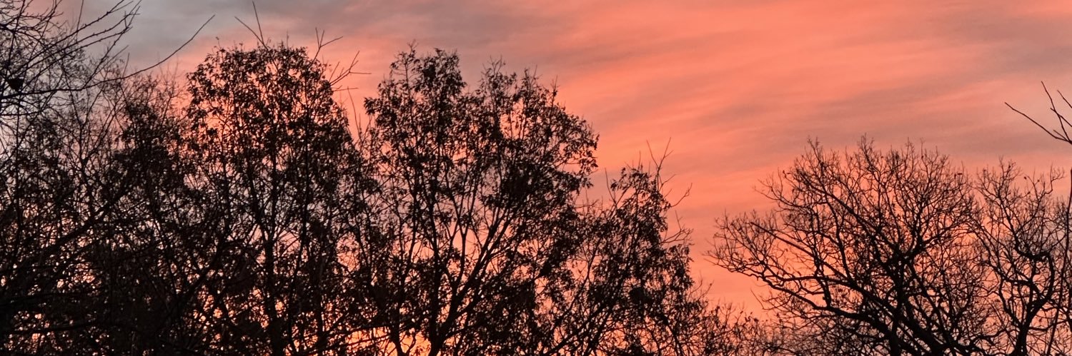 allisonnkimm's profile banner image