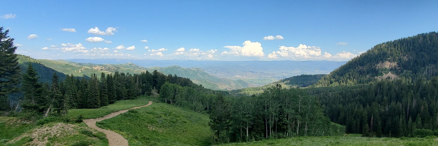 Dominique Clemente banner