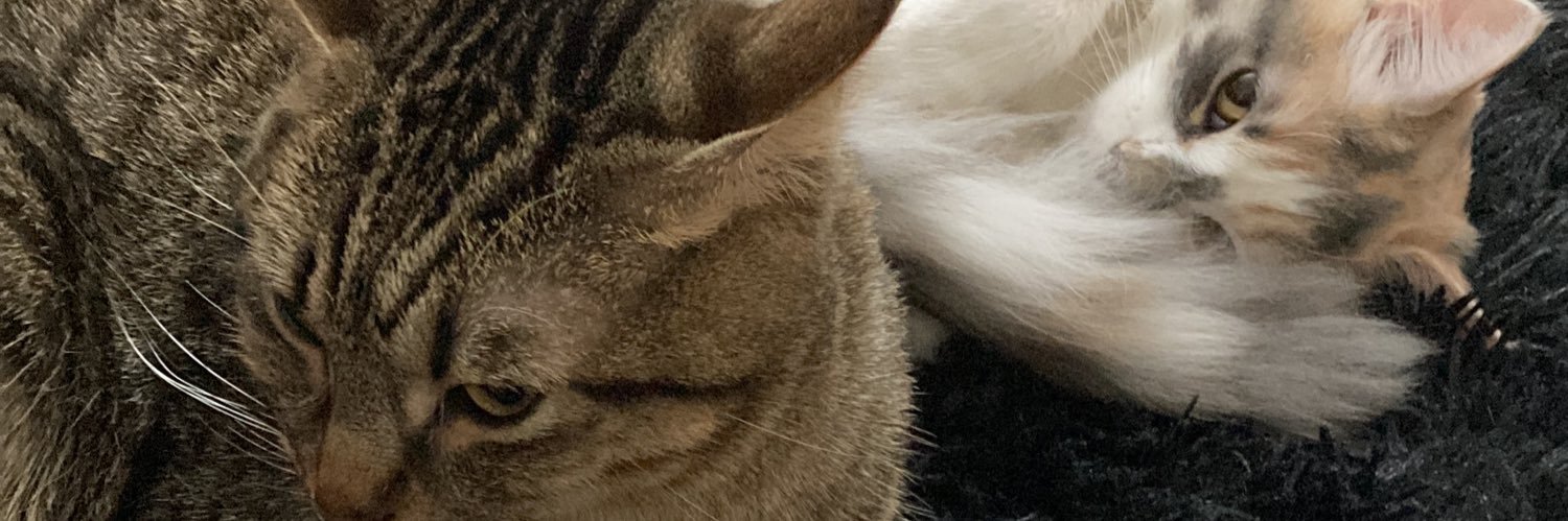 imnotyourkind's profile banner image