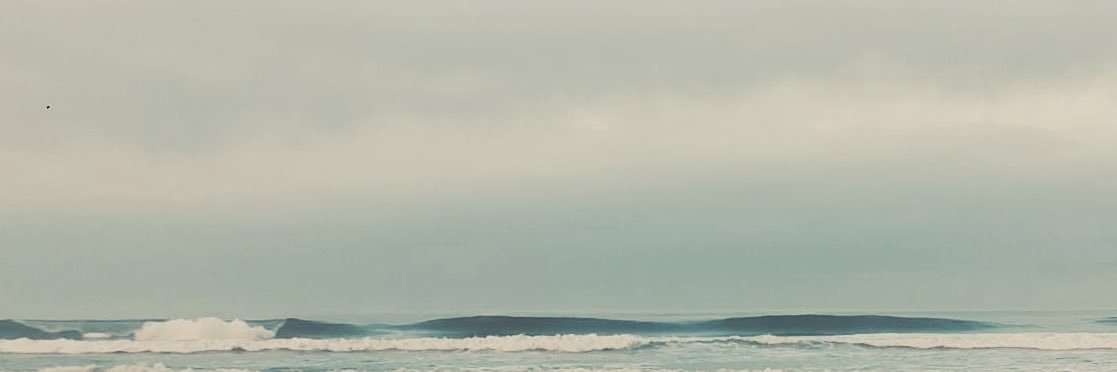 Nathan Martinez banner