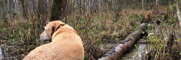 FrommTyler Profile Banner