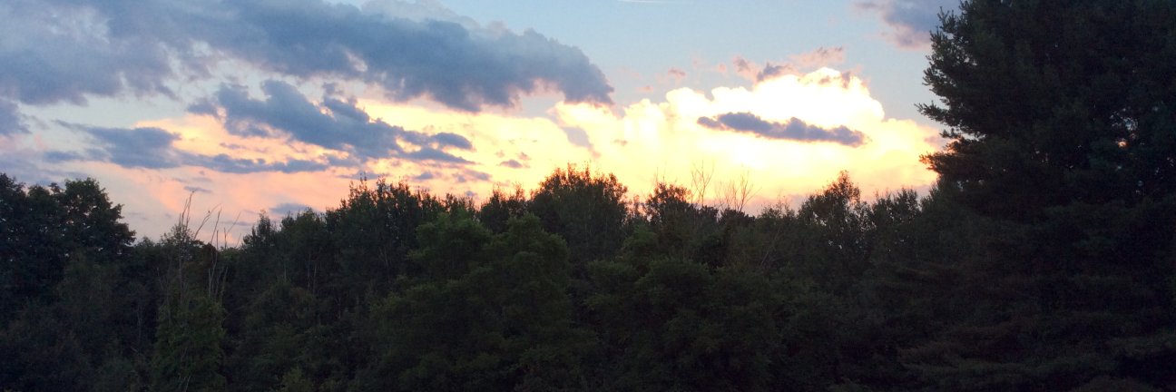 SkipBlazer's profile banner image
