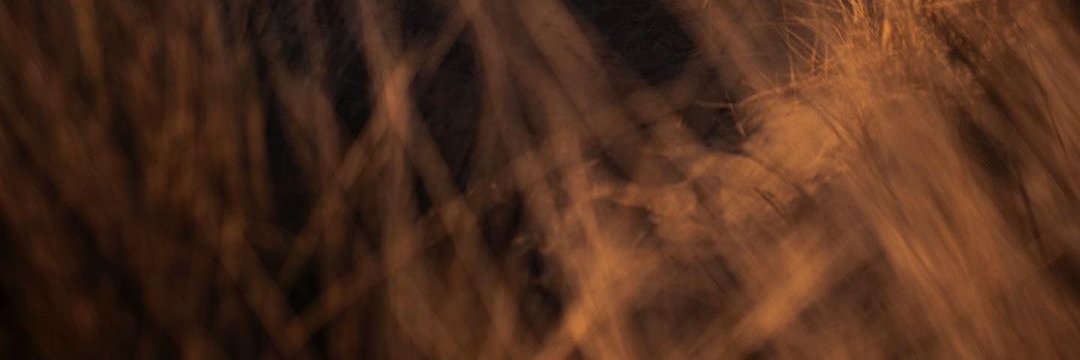 Daffinns35's profile banner image