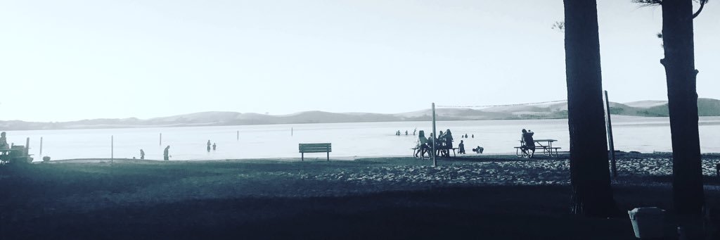 OlveraWilly's profile banner image