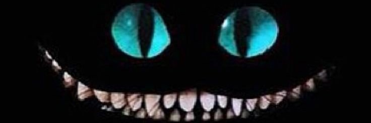 jcnaevis's profile banner image