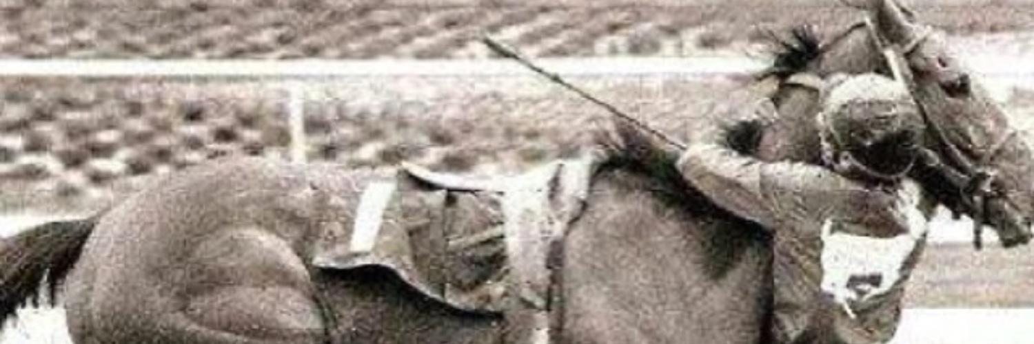 منصور banner