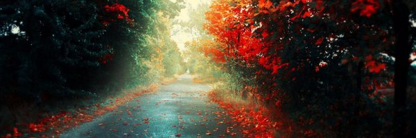 _Mithul Profile Banner