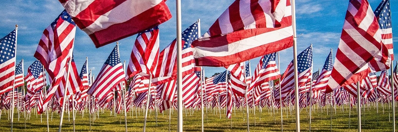 cammy moonlit banner